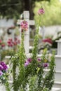 Cemetery Ialysos village Rhodes